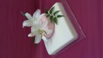 dort patrový živé květy orchydejí