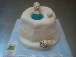 dort lední medvědi č.628